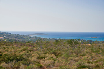 view from the beach