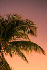 Sunset Caribbean beach Martinique