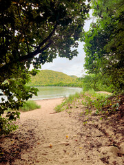 Caribbean beach Martinique
