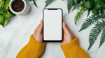 A person is holding a cell phone with a white screen