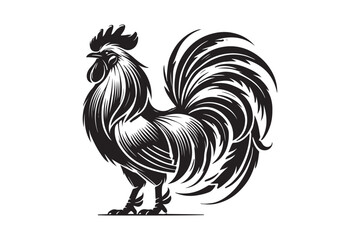 Rooster drawing silhouette