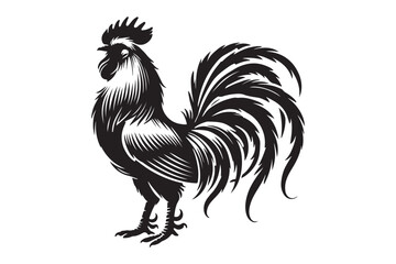 Rooster drawing silhouette