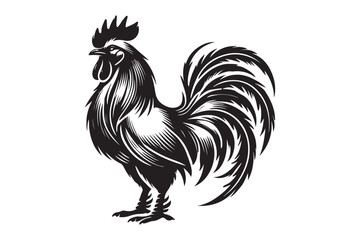 Rooster drawing silhouette