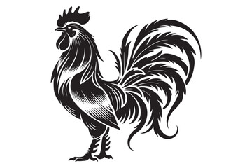 Rooster drawing silhouette