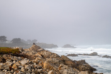 Females perched on rocks watching waves