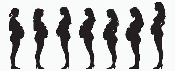 Silhouette of Pregnant Women in Different Stages of Pregnancy. Gynecology, and Safe Motherhood Designs