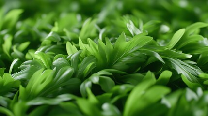 The image showcases a lush, abstract green landscape with overlapping leaves creating a natural and serene background.