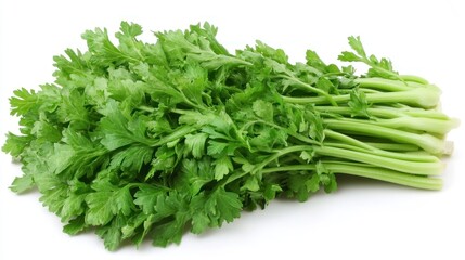 Fototapeta premium Fresh celery stalk, isolated, white background, healthy food