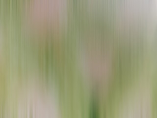 Abstract picture of Thai wood pattern, light brown, light green
