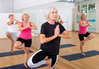 Obraz premium Aged women practicing yoga in a group class perform the exercise while standing in the tree pose in a fitness studio