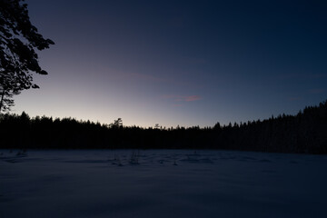 Coniferous forest and wetlands in the snow after sunset, Norway