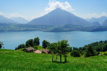 A lush green hillside in the foreground with a gorgeous view of the Swiss Alps and Lake Thun in the background. This is a perfect destination for those seeking tranquility and natural beauty.
