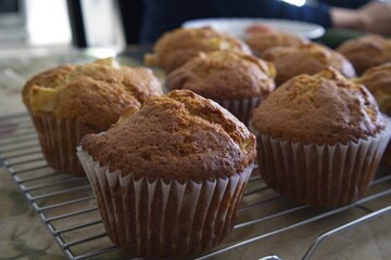 Freshly Baked Muffins Cooling on a Rack