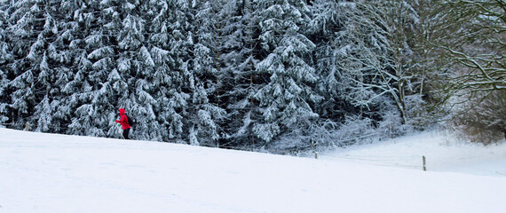 cross-country skiing in the mountains