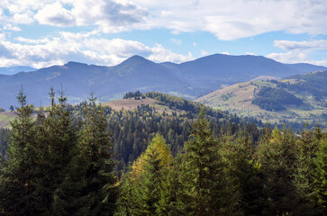 Expansive countryside view featuring lush green hills, scattered trees, distant mountains, and a clear blue sky enriched with fluffy white clouds, perfect for nature and travel themes. Carpathians