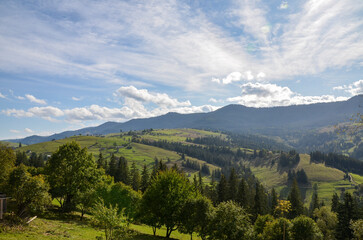 Obraz premium Expansive countryside view featuring lush green hills, scattered trees, distant mountains, and a clear blue sky enriched with fluffy white clouds, perfect for nature and travel themes. Carpathians