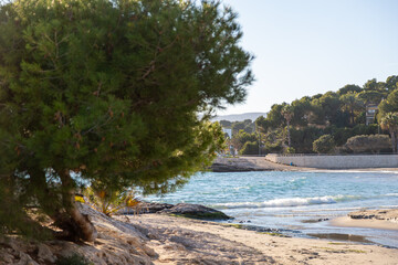 Landscape view of Moraira beach, Image shows a quiet area of the beach with a lone tree