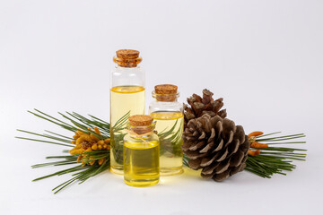 Pine turpentine essential oil in glass bottle with pine coniferous leaves and pine cone. Kiefer turpentin