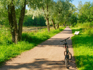 A bicycle in the park