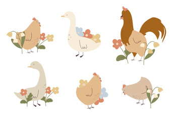 Clipart set of chicken, goose and rooster with flowers. Hand drawn vector illustration of farm in pastel colors on transparent isolated background