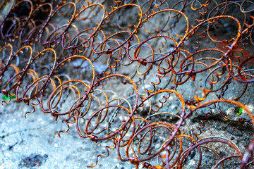 Rusty and old mattress springs