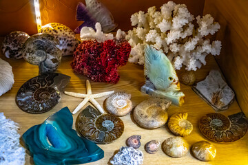 Healing reiki chakra crystals. Gemstones therapy for wellbeing, meditation, destress, relaxation, metaphysical, spiritual practices.