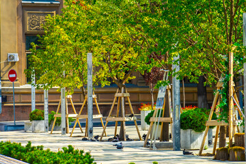 spring city park at sunny day