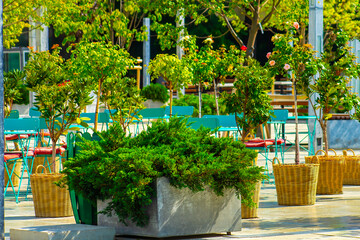 spring city park at sunny day