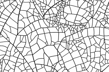 Obraz premium Intricate Leaf Veins Pattern