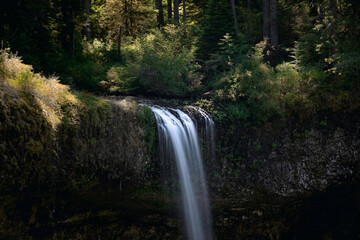 Obraz premium waterfall in the forest