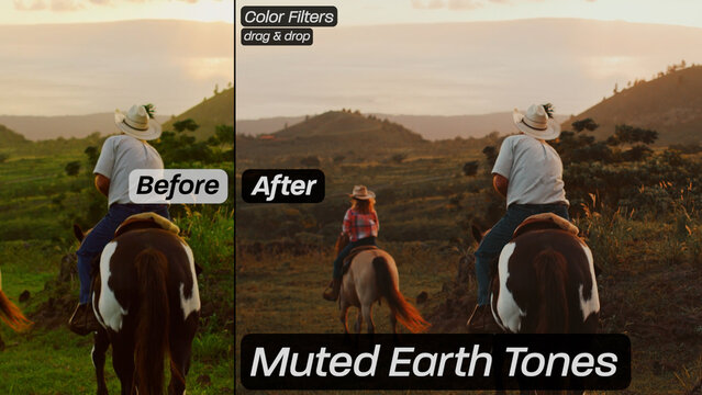 Muted Earth Tones Color Filters