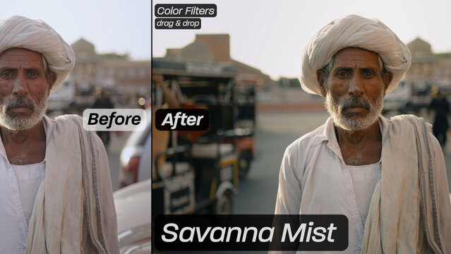 Savanna Mist Color Filters
