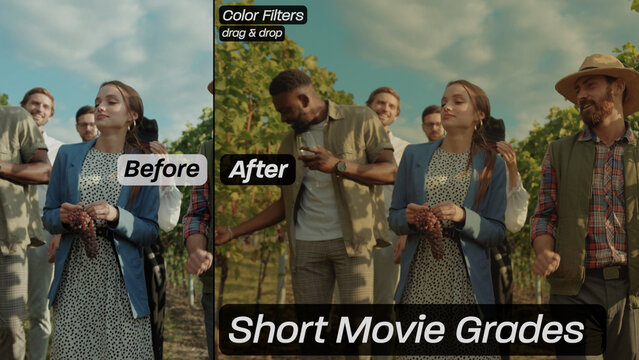 Short Movie Grades Color Filters