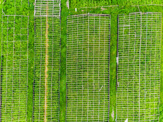 Abandoned farm with remains of greenhouses, aerial view