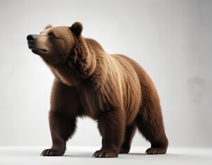 Obraz premium Brown bear silhouette on white background with subtle forest texture , silhouetted, bear, forest