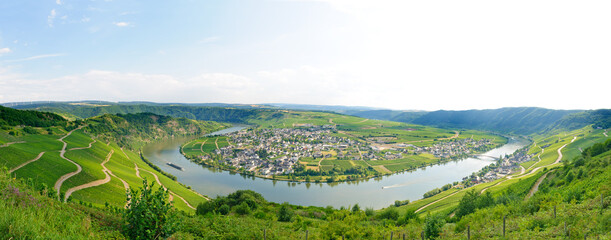 Panorama of Peisporter, vineyards, and the river 