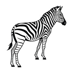 Fototapeta premium zebra silhouette vector on white background.