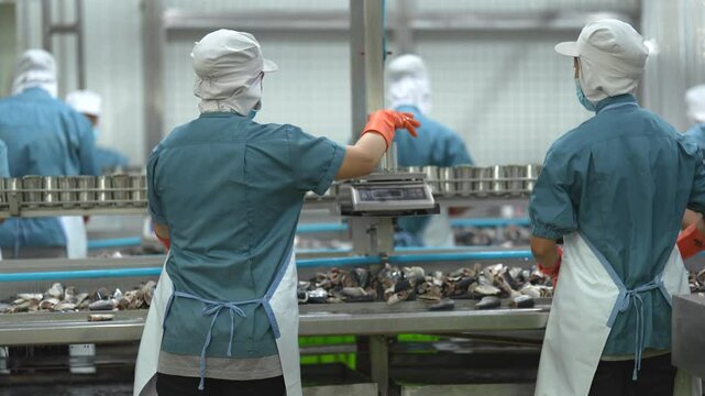 Workers handling seafood on assembly line in food processing facility Focus on safety precision and efficiency in industrial workflows. Industrial workers using equipment for fish can processing.