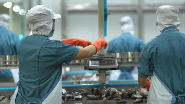 Workers handling seafood on assembly line in food processing facility Focus on safety precision and efficiency in industrial workflows. Industrial workers using equipment for fish can processing.