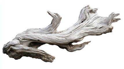 Fototapeta premium Weathered Driftwood