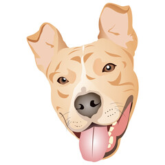 dog head vector design