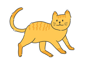 노란줄무늬 고양이