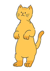 노란줄무늬 고양이