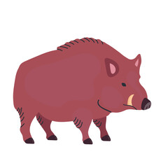 Wild boar con clipart avatar logotype isolated illustration