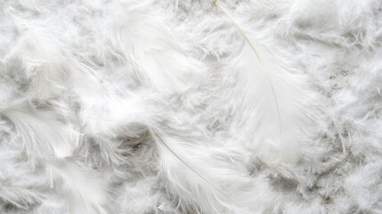 Closeup view revealing the soft, intricate texture of white feathers scattered on a subtle background, highlighting their natural beauty and delicacy