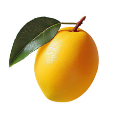 Fresh Yellow Plum with Leaf on White Background