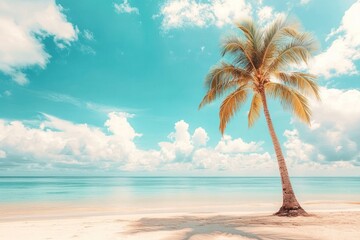 Obraz premium Scenic coral beach with palm tree sky outdoors tropical.