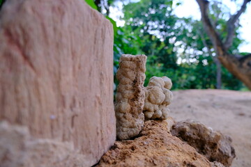 Unique Coral Rock Formation in Natural Outdoor Setting with Lush Greenery