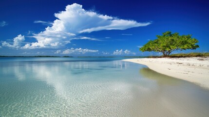 Obraz premium Tranquil Tropical Beach Scene