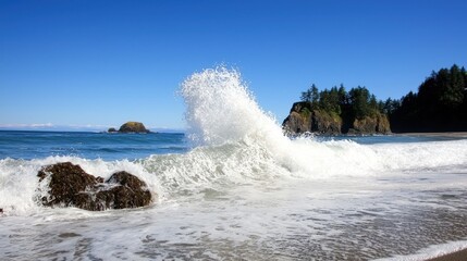 A crashing wave on a sunny beach with lush greenery in the background.